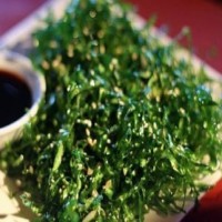 Alga frita